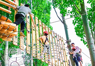 叢林探險 叢林探險